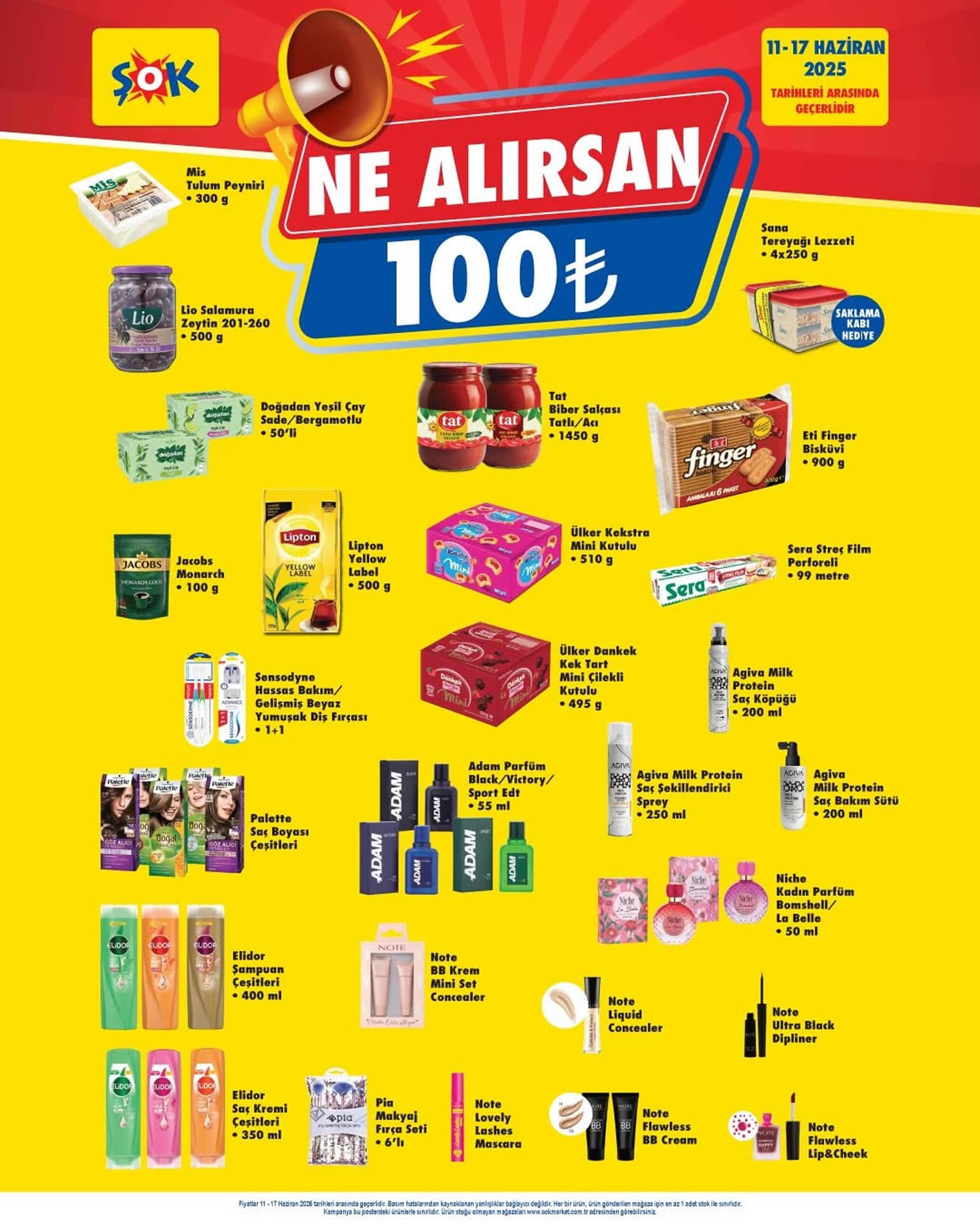 ŞOK 11 Haziran 2025 Ne Alırsan 100 TL Kataloğu