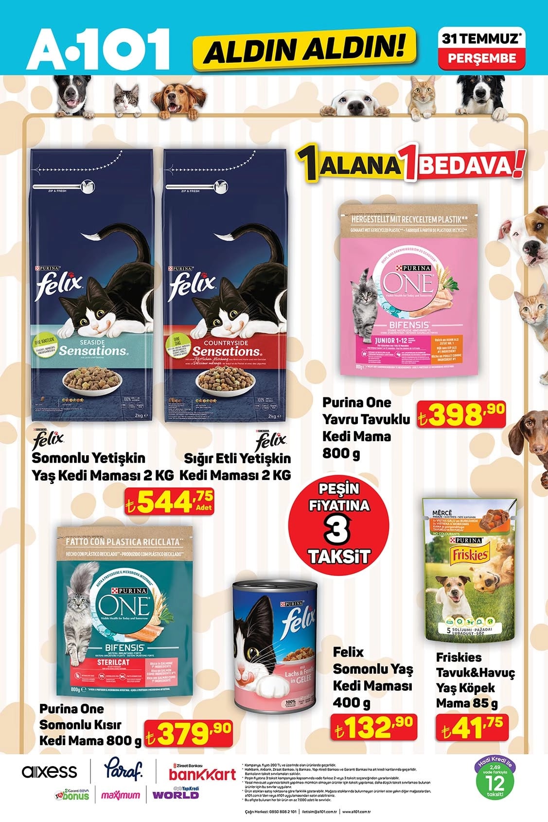 A101 31 Temmuz 2025 Kataloğu