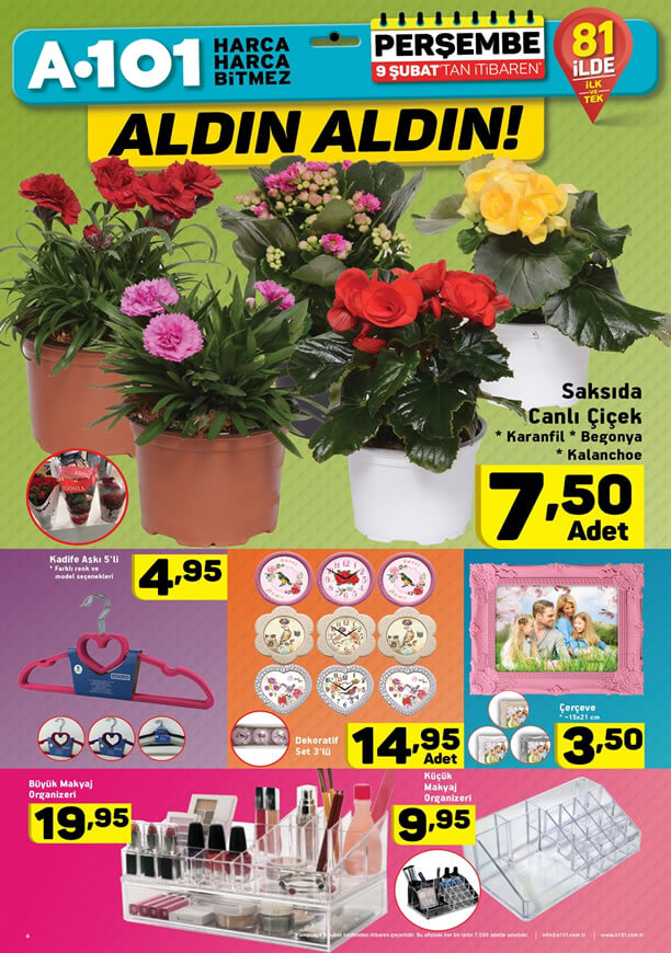 A101 9 Şubat 2017 Perşembe Katalogu - Saksıda Canlı Çiçek