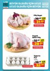 A101 24 - 25 Eylül 2022 Yumurta ve Tavuk Fiyatları